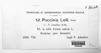 Puccinia lolii image